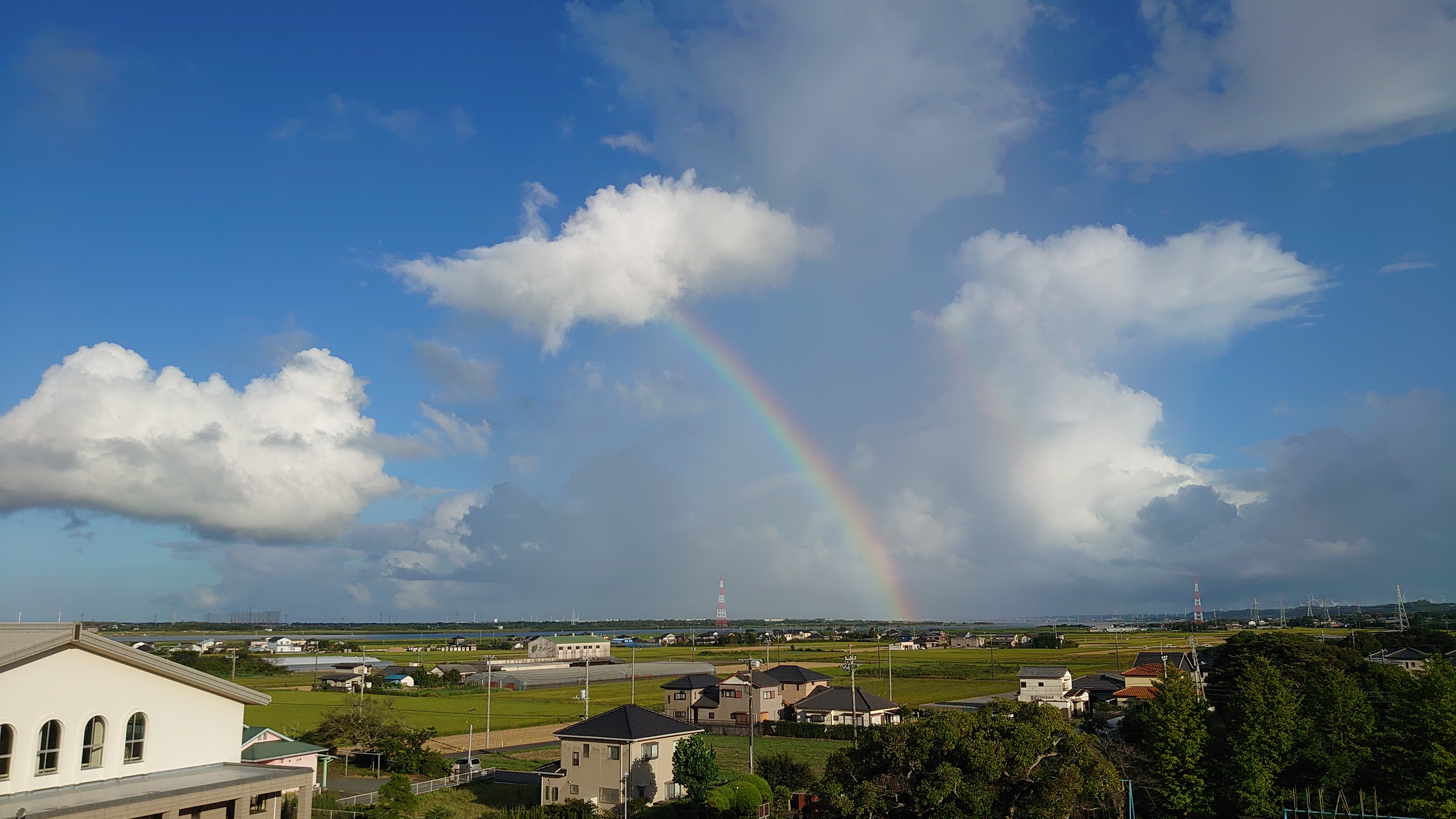 屋上ヨガ体験 - 青空の下で行う最高のリラクゼーション