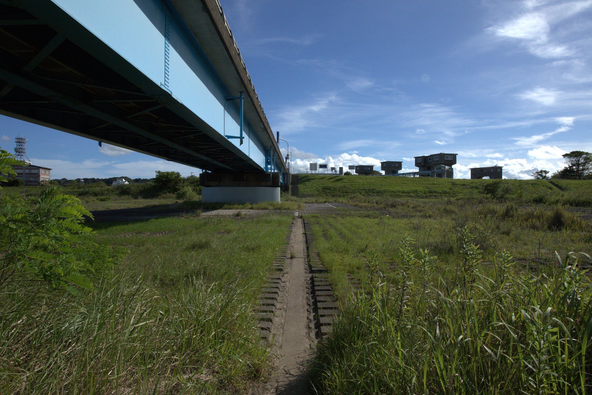 河川敷と大橋｜東庄町の風景